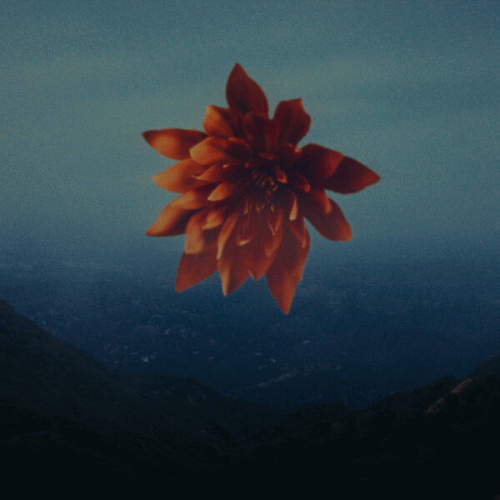 The Devil Wears Prada : Everybody Knows